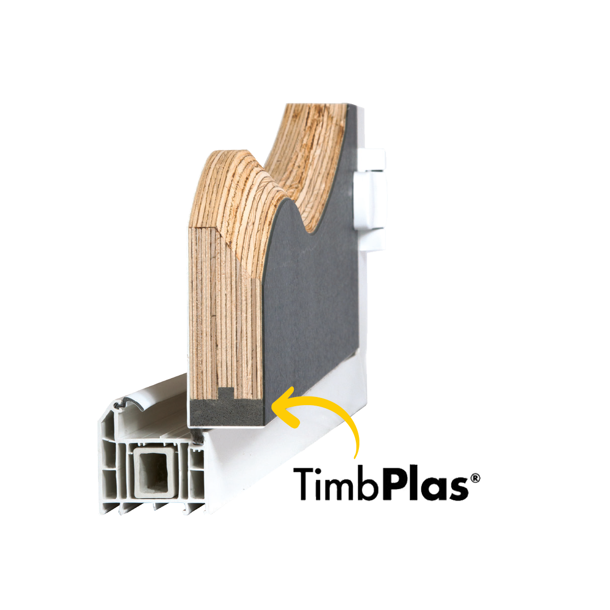 timbplas cross section