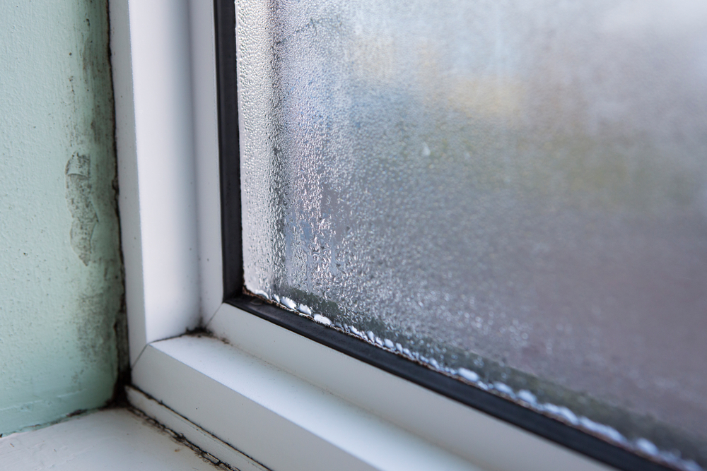 moisture ingress on leaking windows